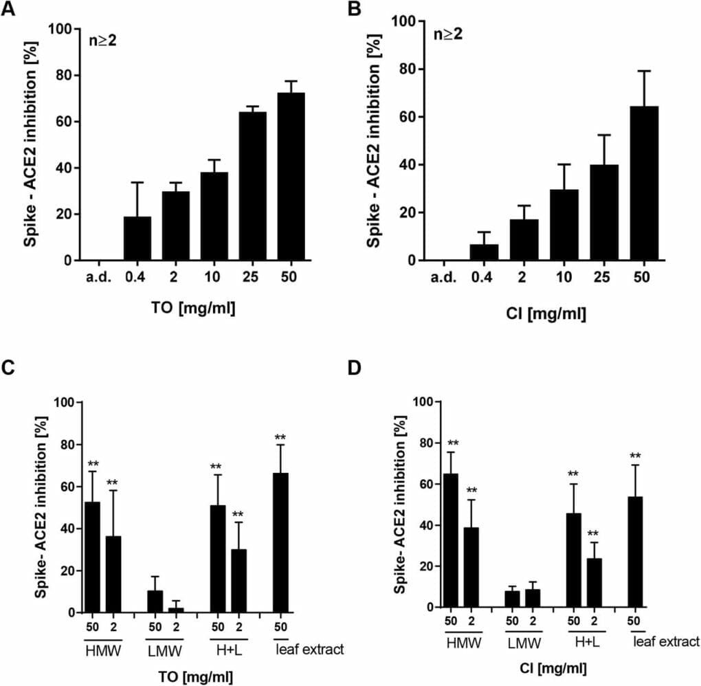 Effect of T. officinale on Sars-CoV-2-Spike – ACE 2 inhibition.